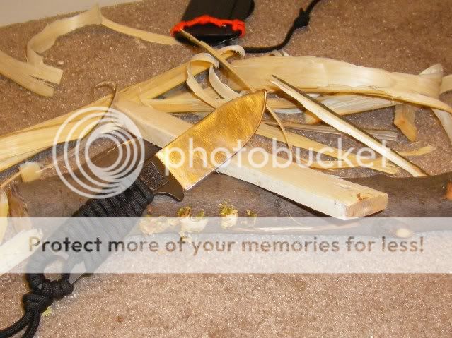forksheath013.jpg