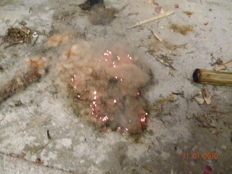 DSCN3027.jpg