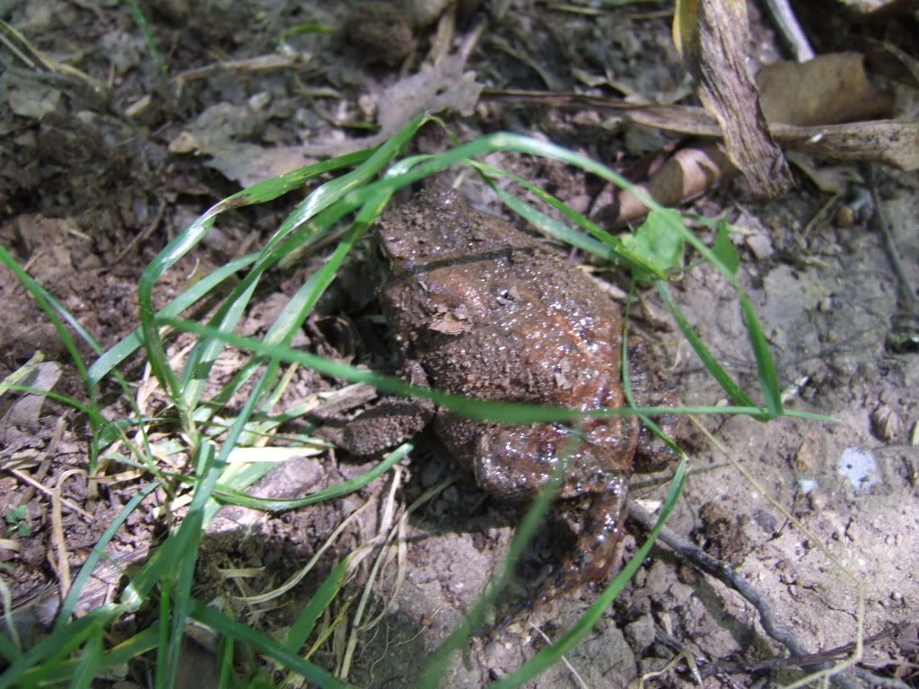 2010_09040078.jpg