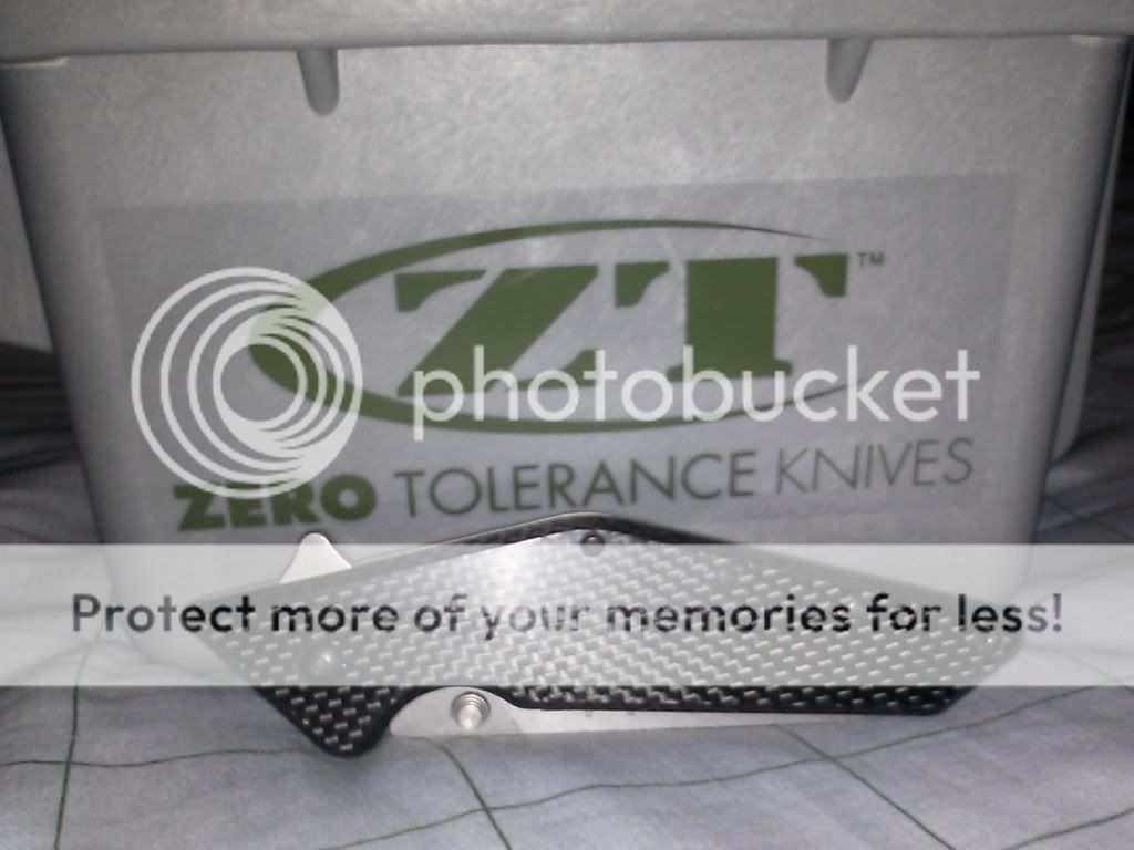 CAM00806_zps17c6b653.jpg