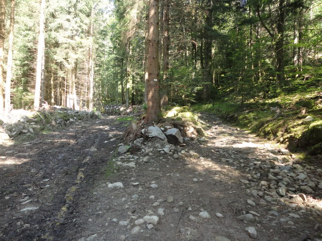 DSC01855.jpg
