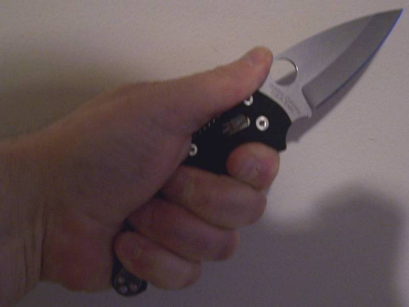 manix2_in_hand_02.jpg