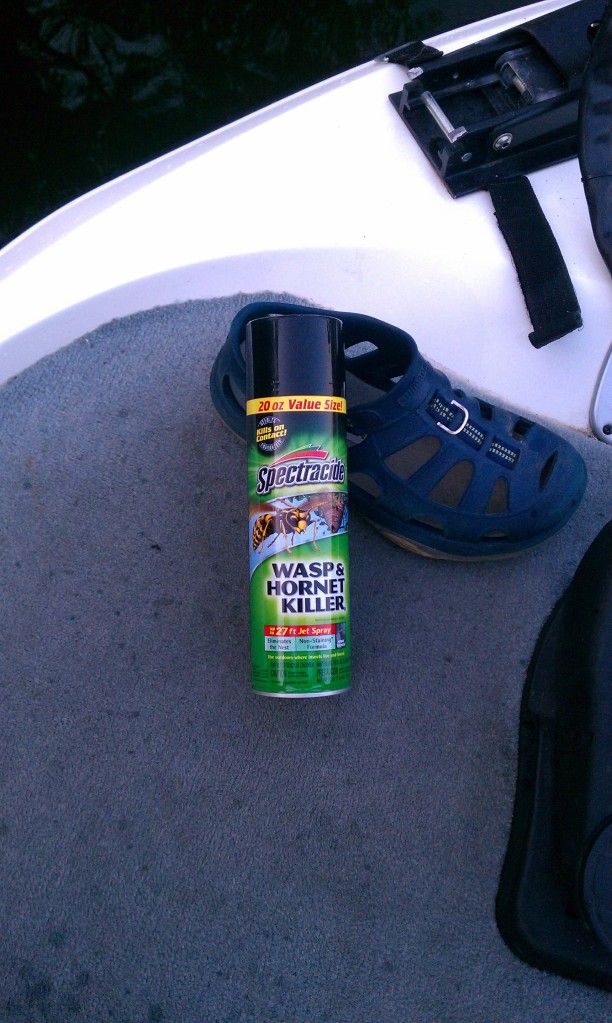waspspray.jpg