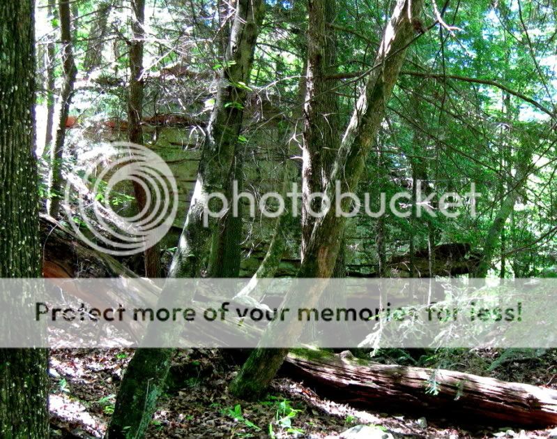 IMG_6819.jpg