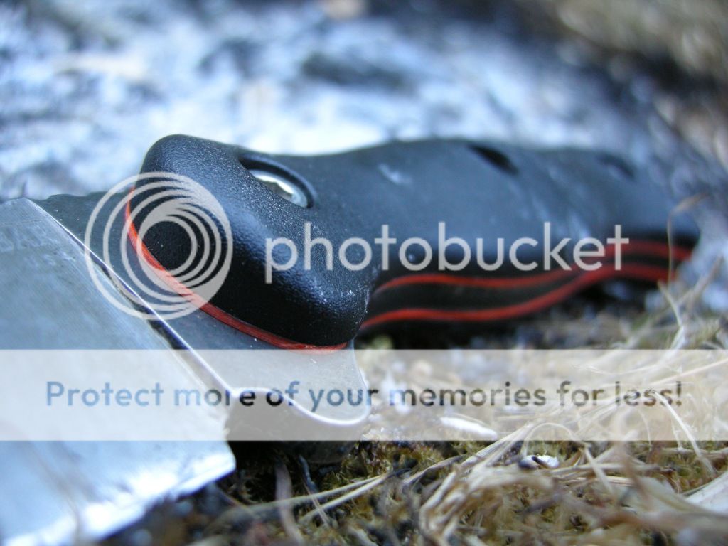 DSCN2295.jpg