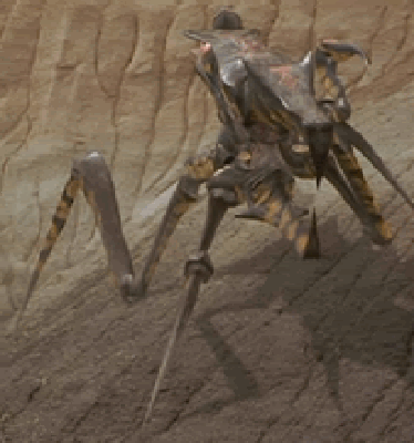 bug.gif