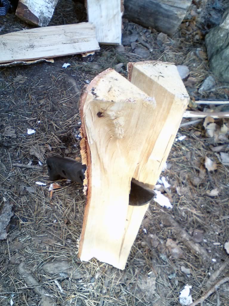 DSC00638.jpg