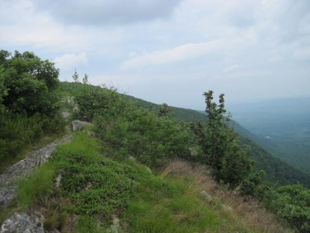 IMG_1347.jpg