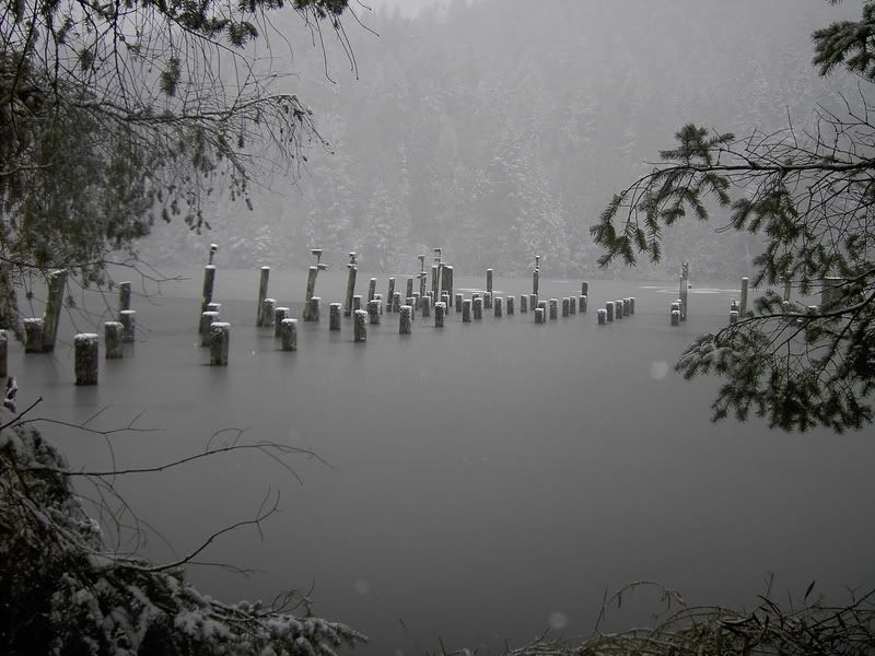snow012.jpg