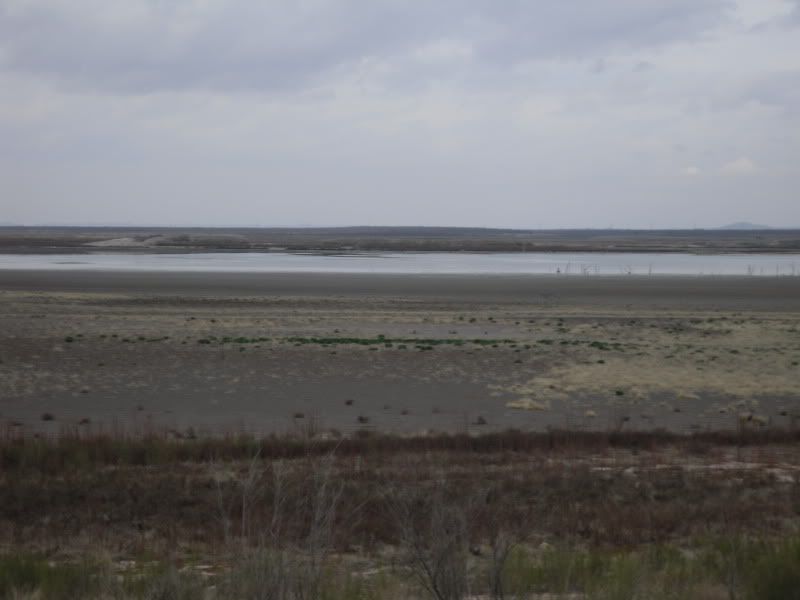 SDC13085.jpg