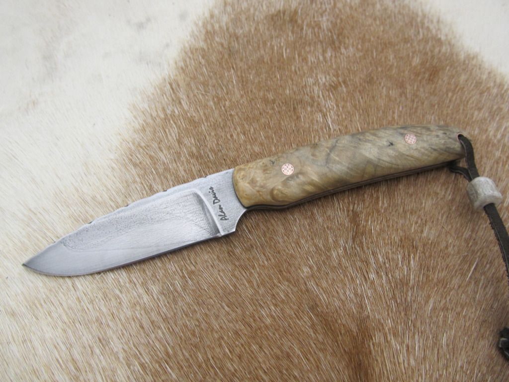BoxElderedc-hunter011.jpg