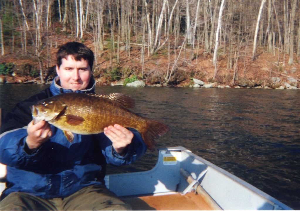 Tombass1.jpg