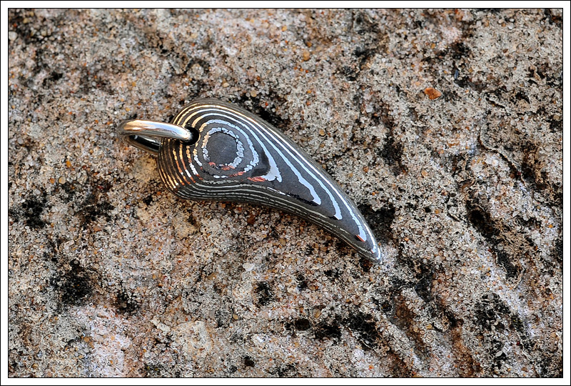 27032010claw2.jpg