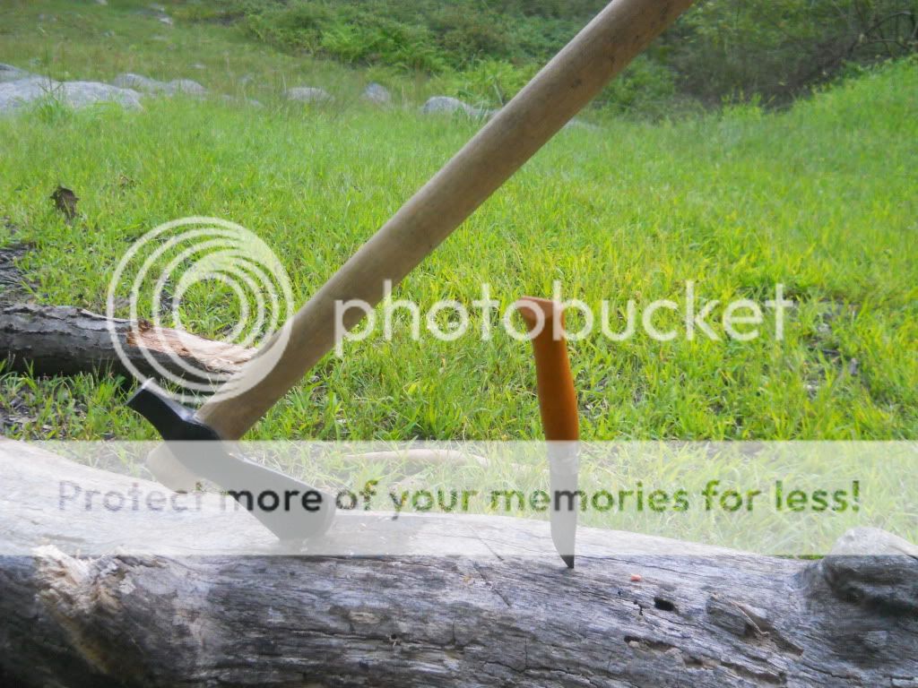 campbear068.jpg