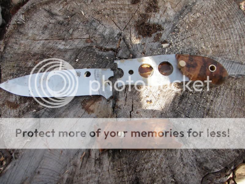 SpydercoBushcraft-P3171255.jpg
