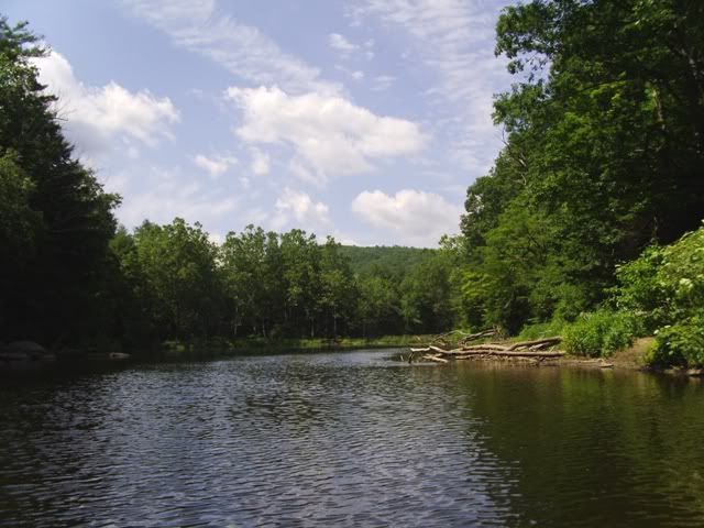 PICT0333.jpg
