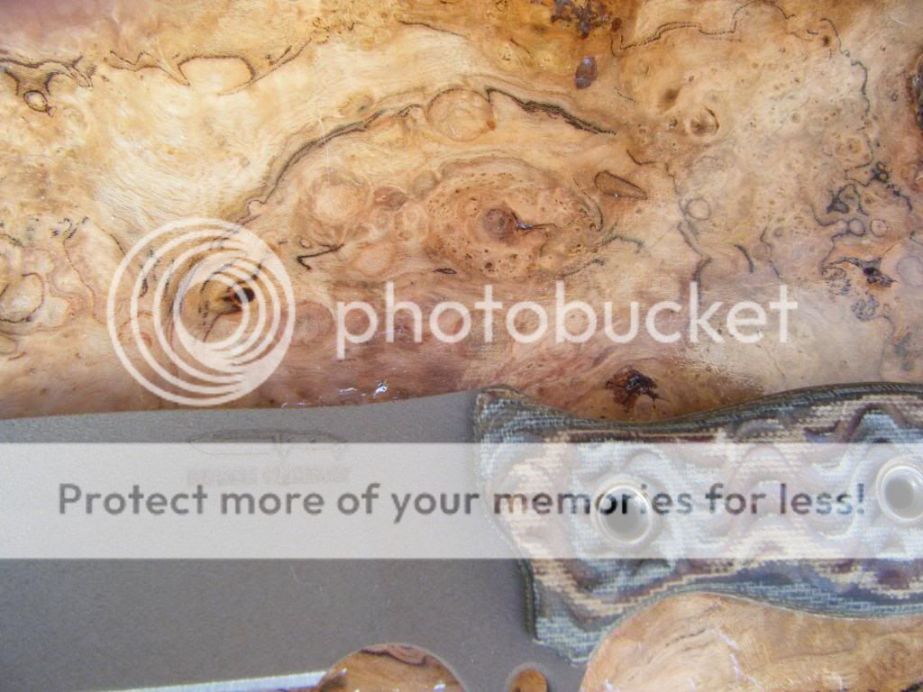 burl022.jpg