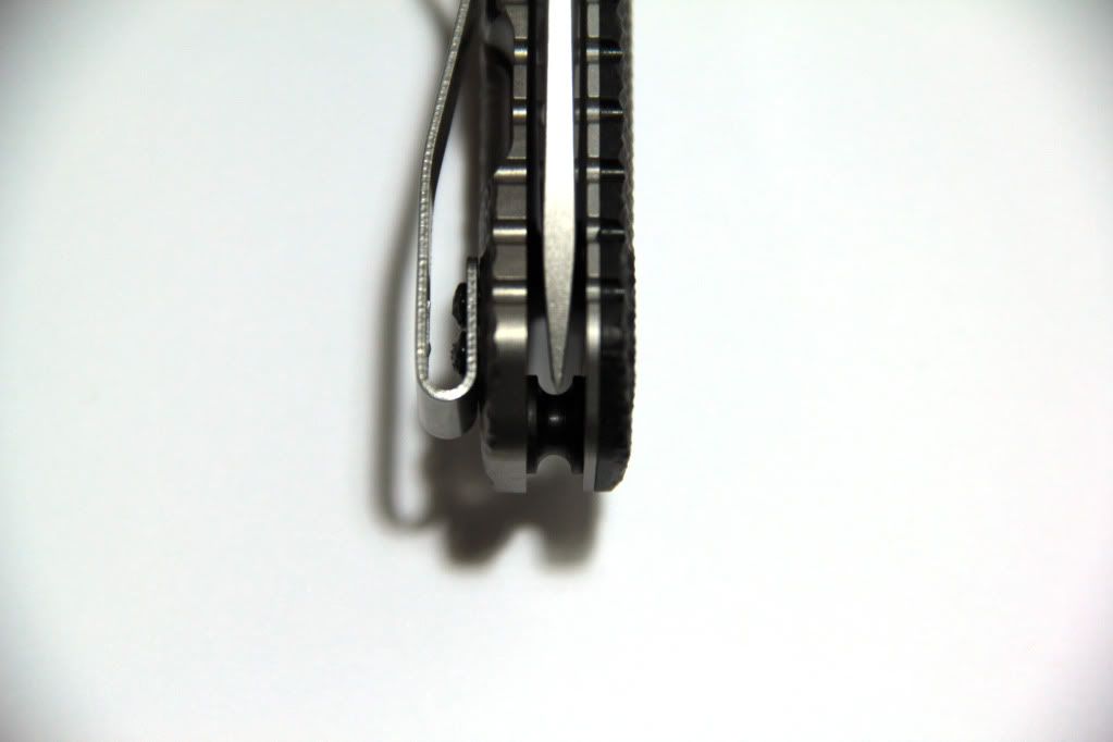 ZT0560_8.jpg