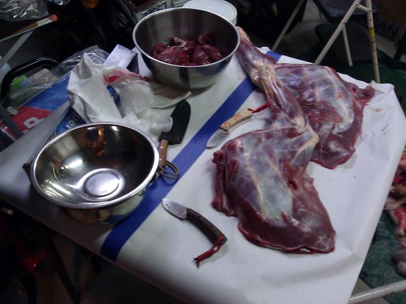 IMG_20121119_173944-small.jpg