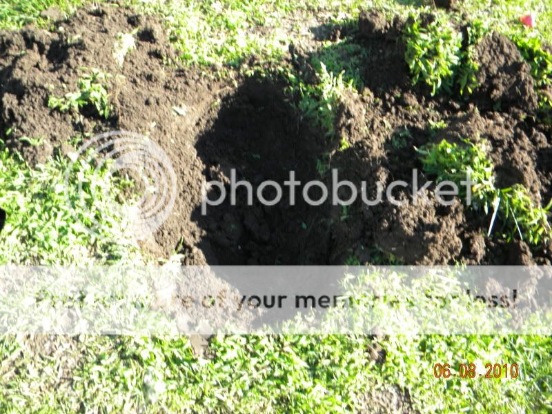 DSCN2277.jpg
