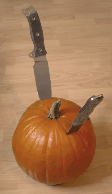 Pumpkin-1.gif