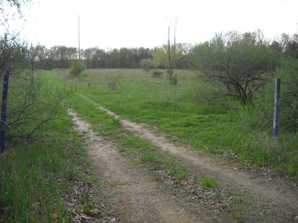 DSCN2134.jpg
