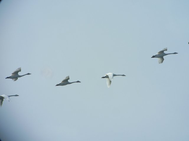 2008.02.21.R0014748.JPG