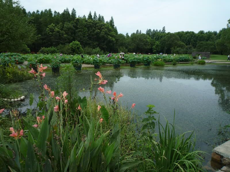 P1080009.jpg