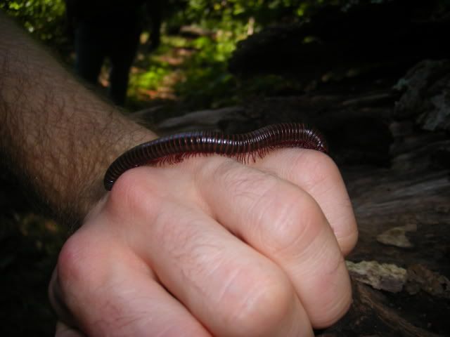 lastcostaricaandshanendoa038.jpg
