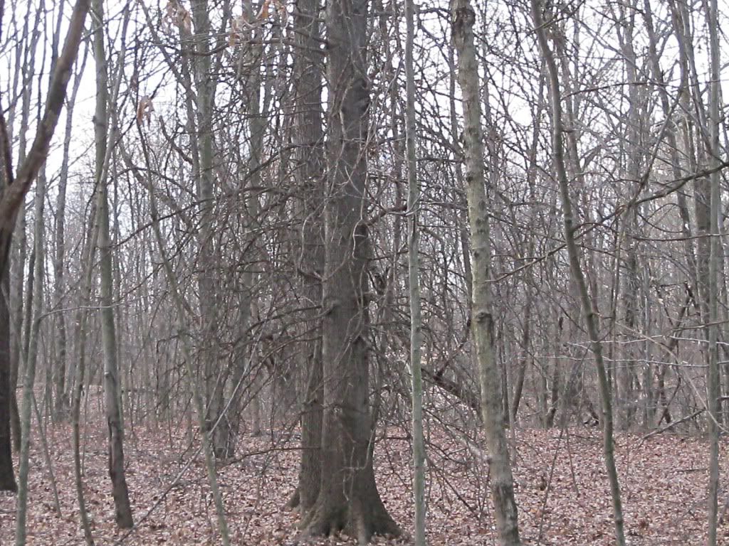 20120203_ac_0004.jpg