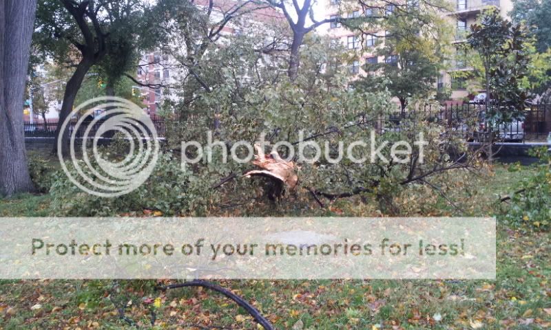 20121030_080213.jpg