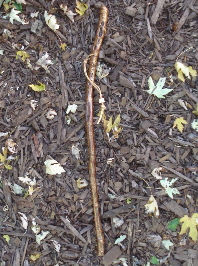DSC03922.jpg