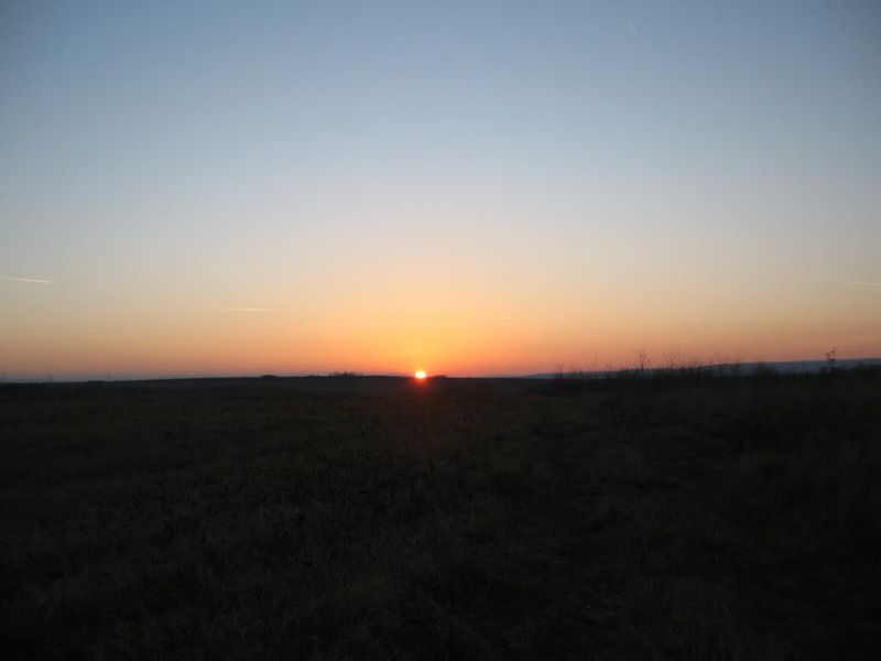 IMG_5828.jpg