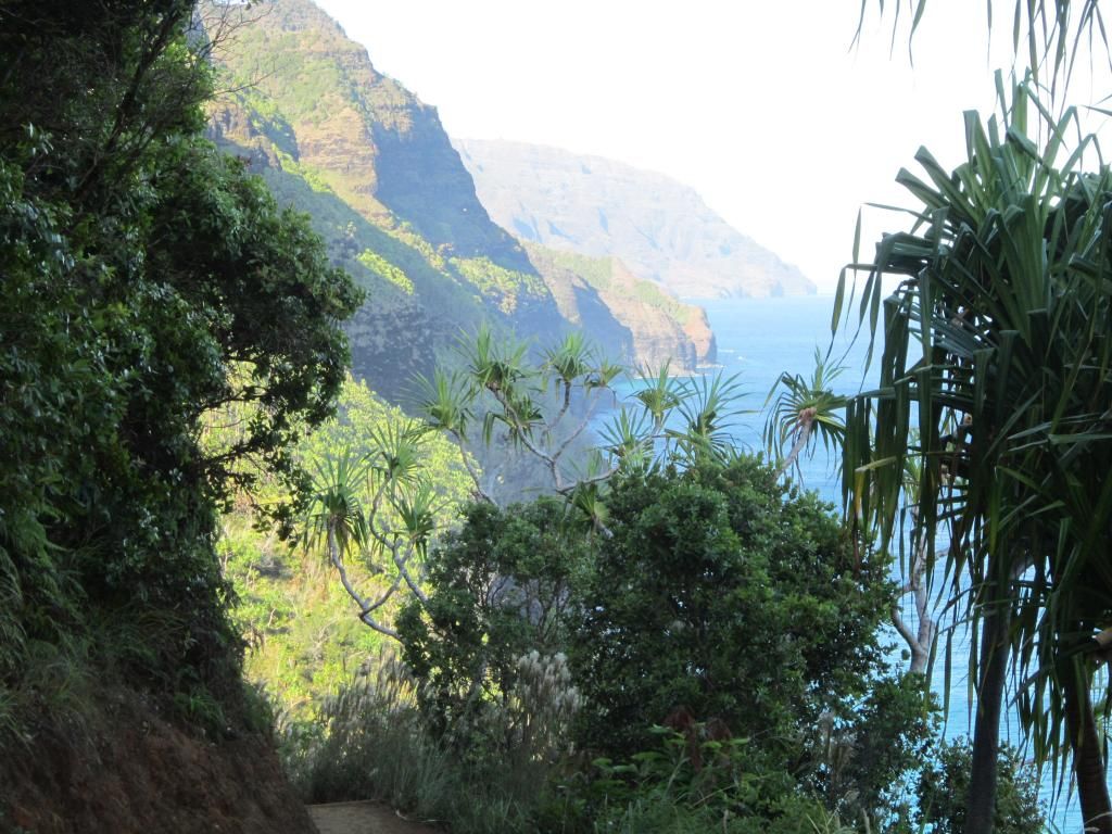 Kauai13022_zpsda51b7f8.jpg