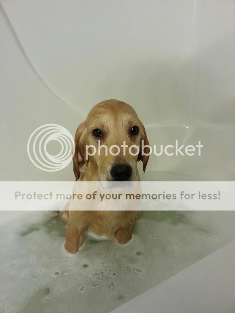 2014012495191342_zps6da9c3ec.jpg