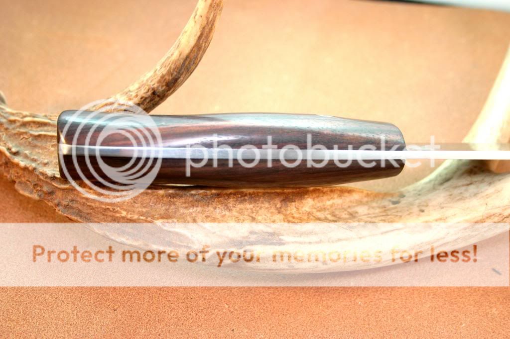 IMG_4228_1_zps3fc3c77a.jpg