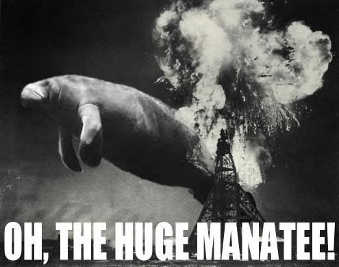 HugeManatee.jpg