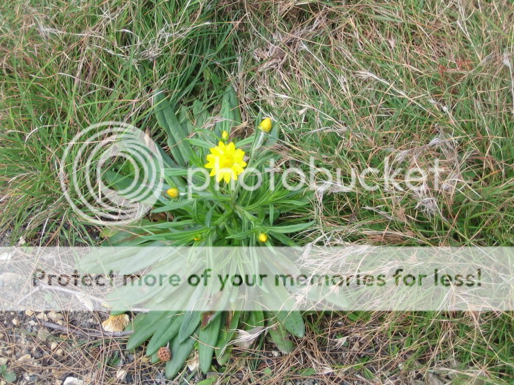 IMG_1167.jpg