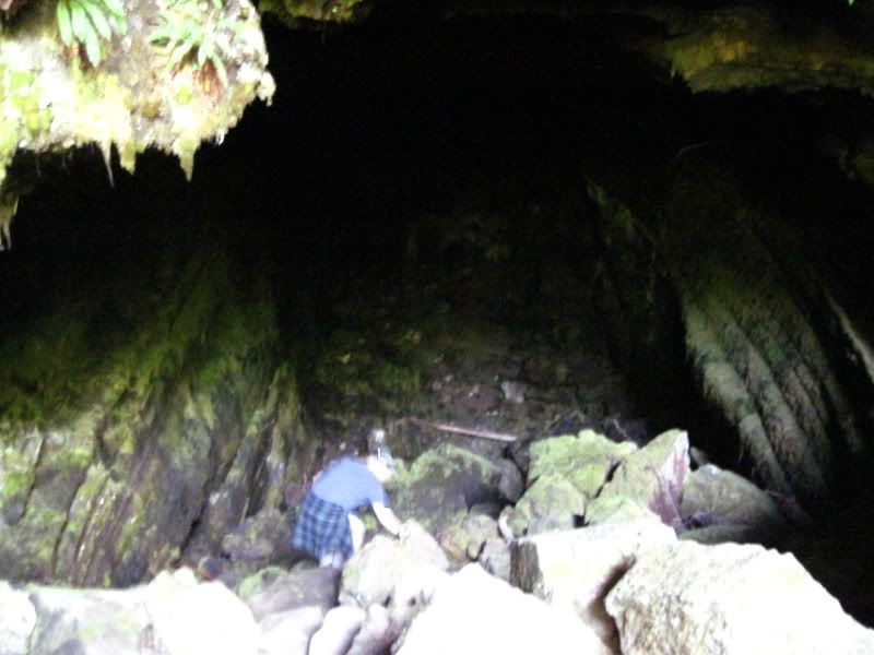 IMG_2416.jpg