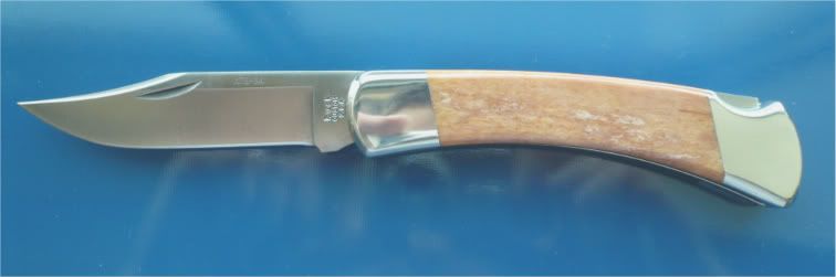 Giraffebone110001.jpg