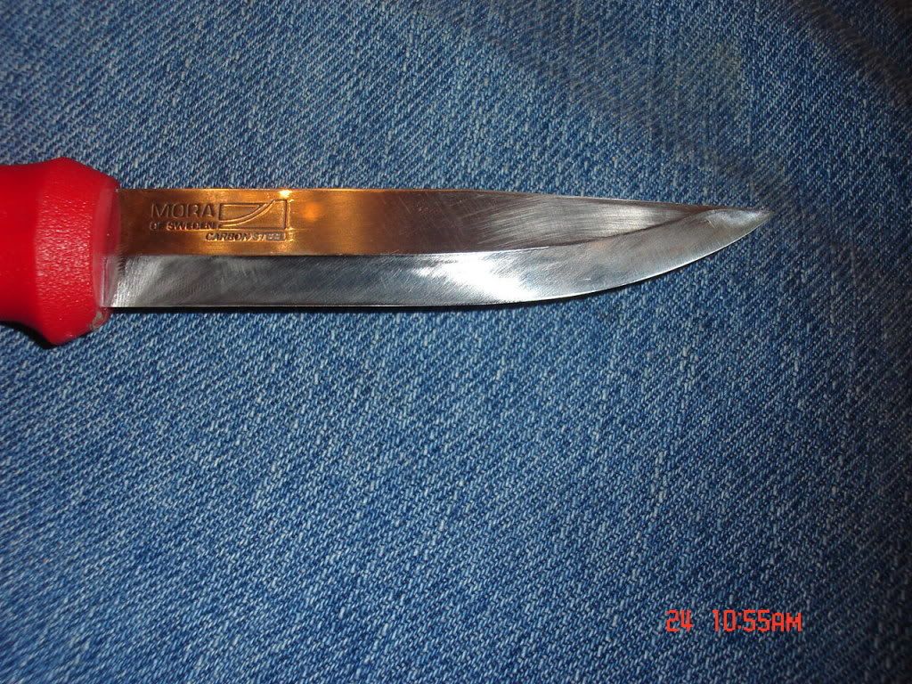 verysharpmora002.jpg