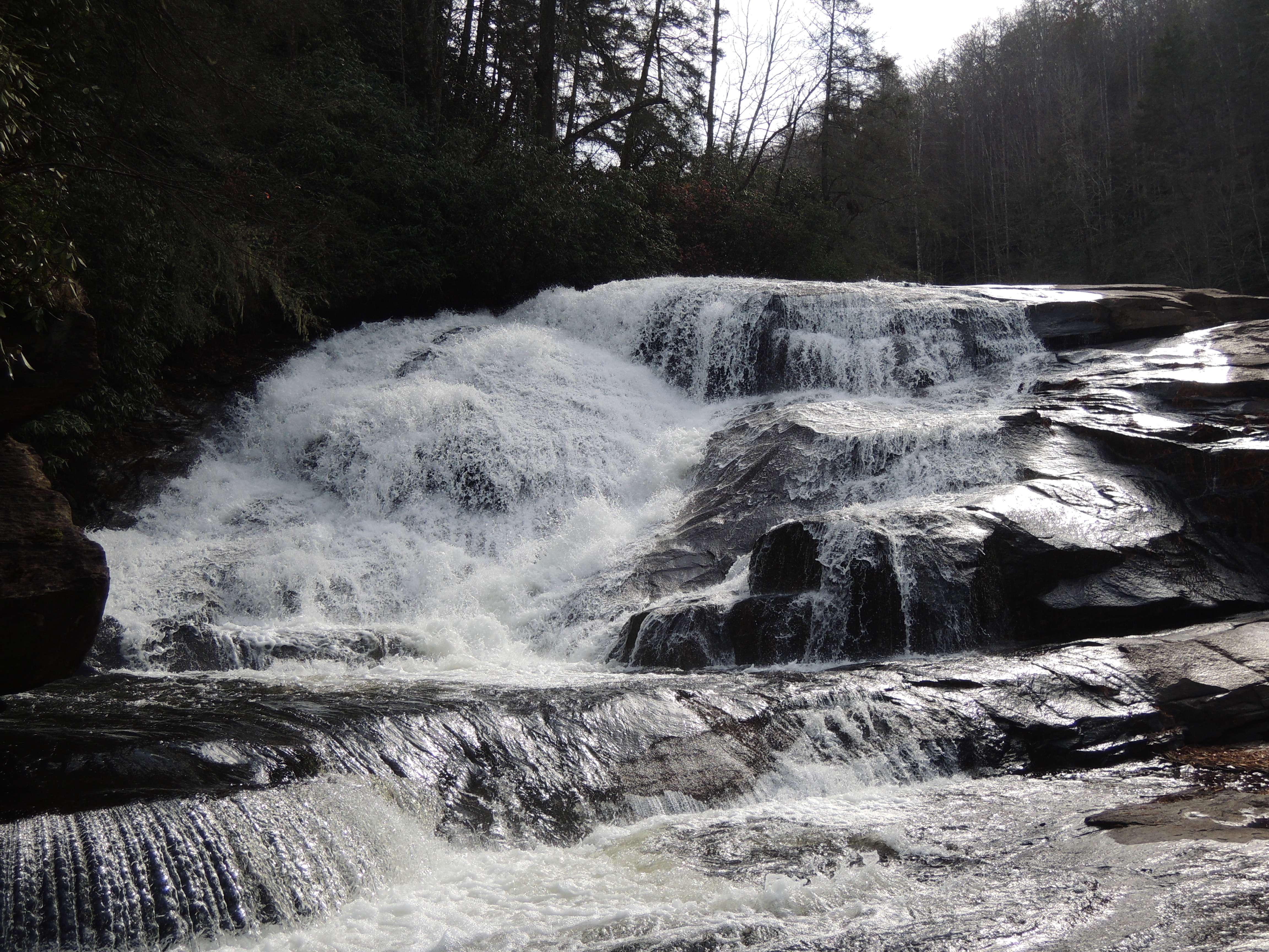 dscn3065gs.jpg