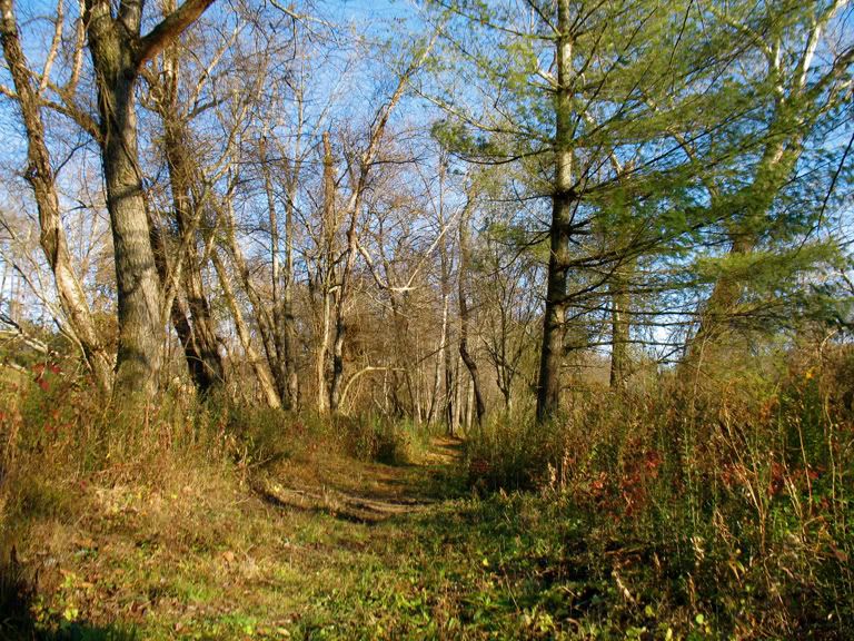 IMG_2220copy.jpg