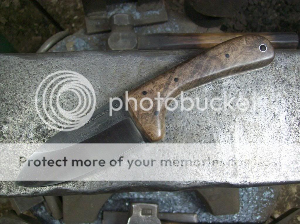 100_8738_zps642f3fde.jpg