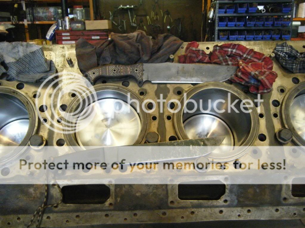 ebay024.jpg
