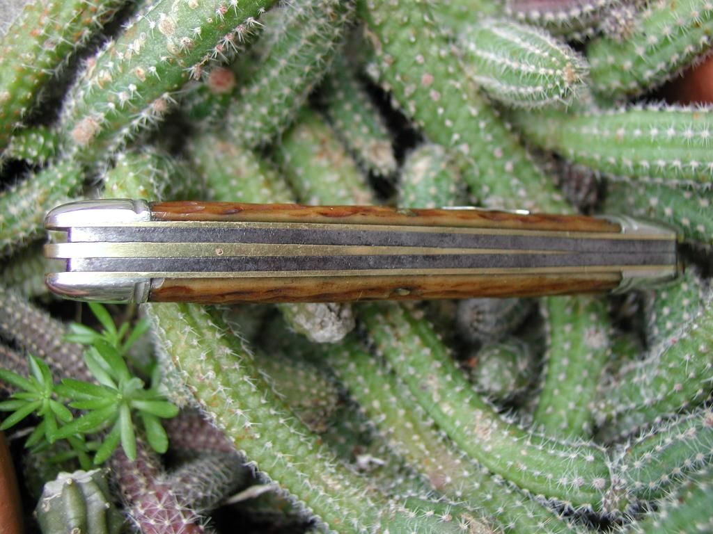 Whittler5_zpsde1ccb95.jpg