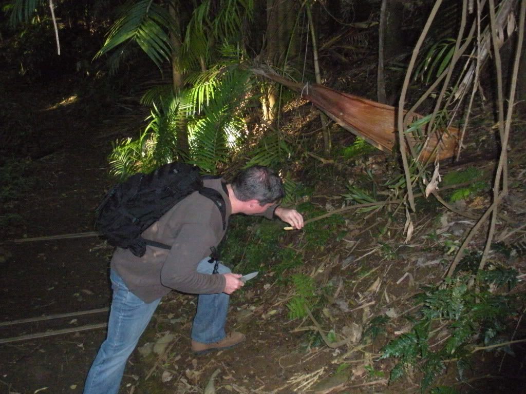 DSCN2534.jpg