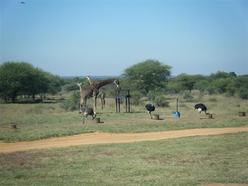 DSCF2397Medium.jpg