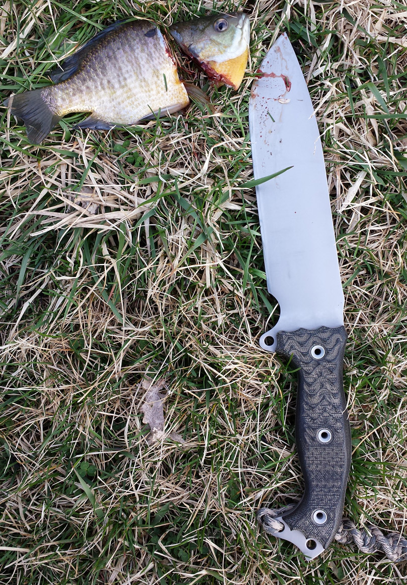 Busse_FSH_BluegillBaitCut_01.jpg