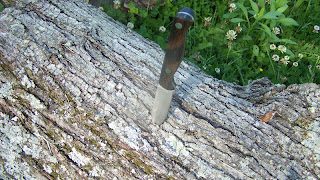 100_9040.JPG